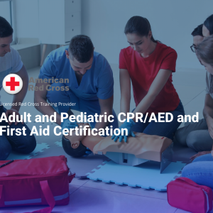 ADULT AND PEDIATRIC CPR/AED/FIRST AID BLENDED LEARNING COURSE